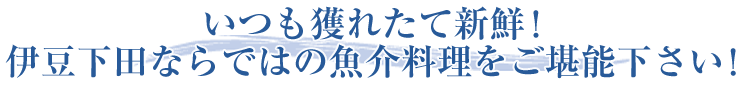 いつも獲れたて新鮮！伊豆下田ならではの魚介料理をご堪能下さい！